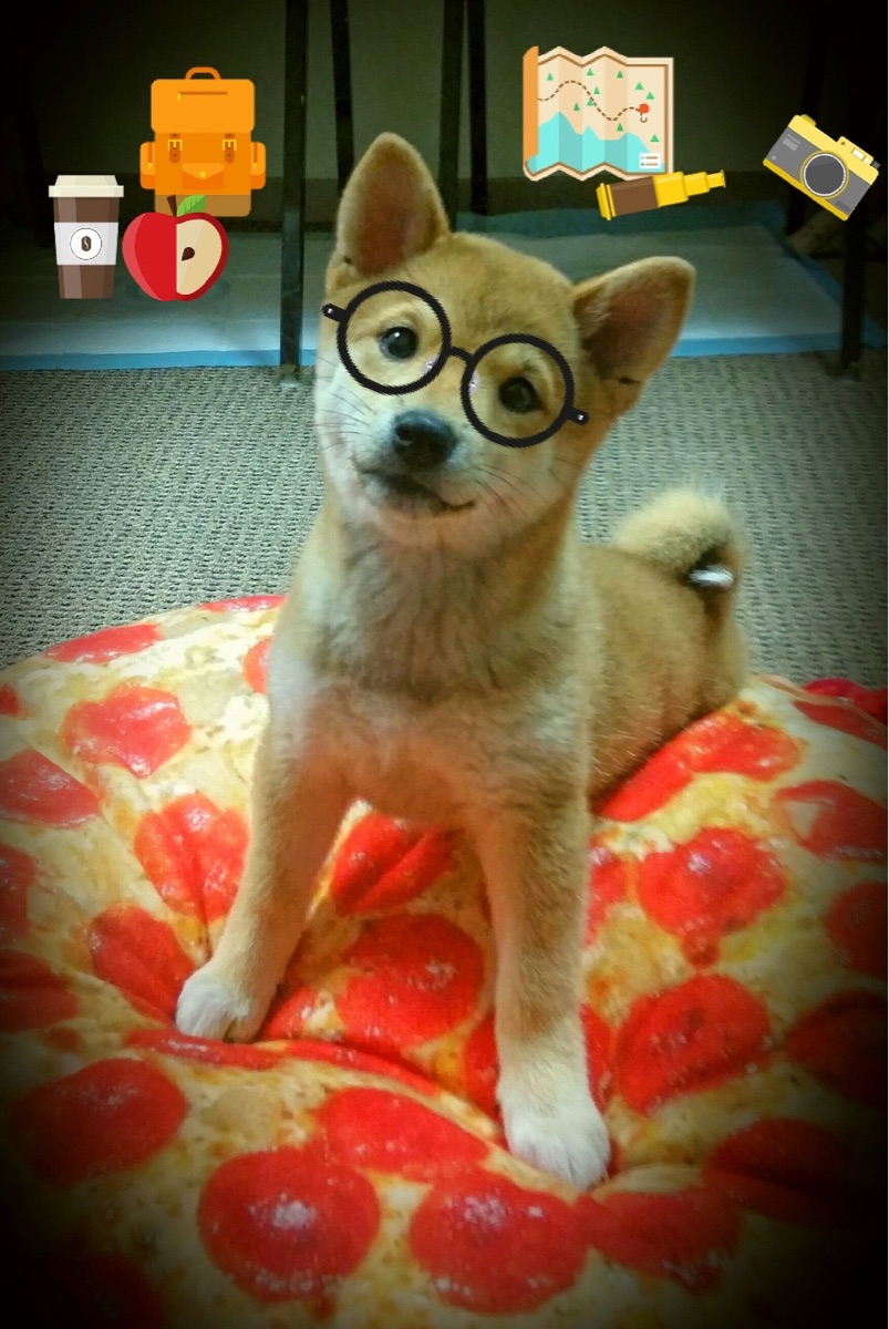 绿茵圣歌,当哥斯达黎加的雨林飓风碾过西班牙斗牛士的黄昏