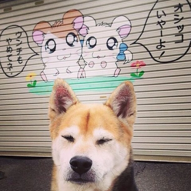 节奏掌控与关键先生，骑士制服76人，库里闪耀赛场—篮球战术与个人英雄主义的完美交响