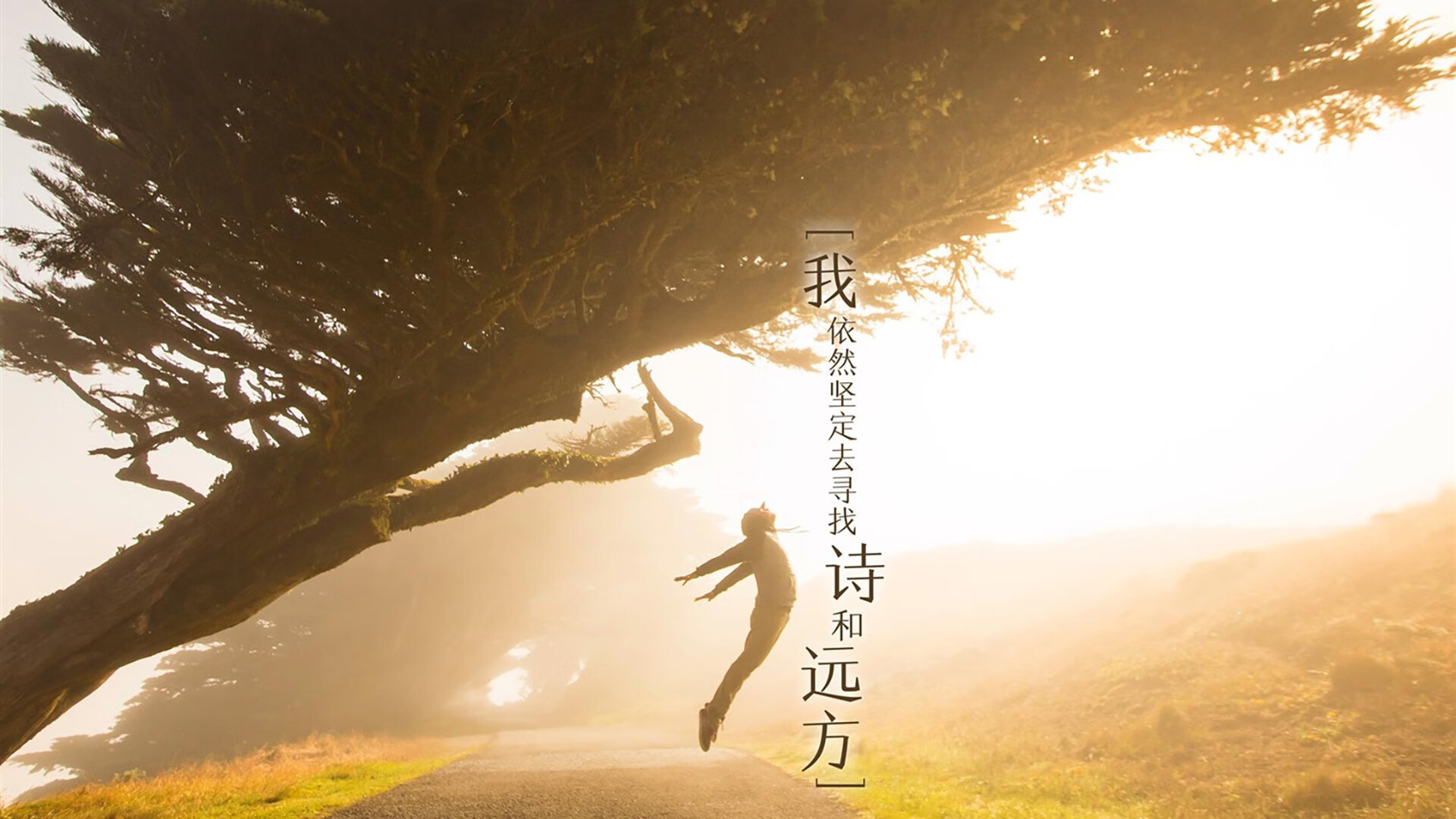 黑马踏碎十一冠！山西用戈贝尔式防守锁死广东王朝