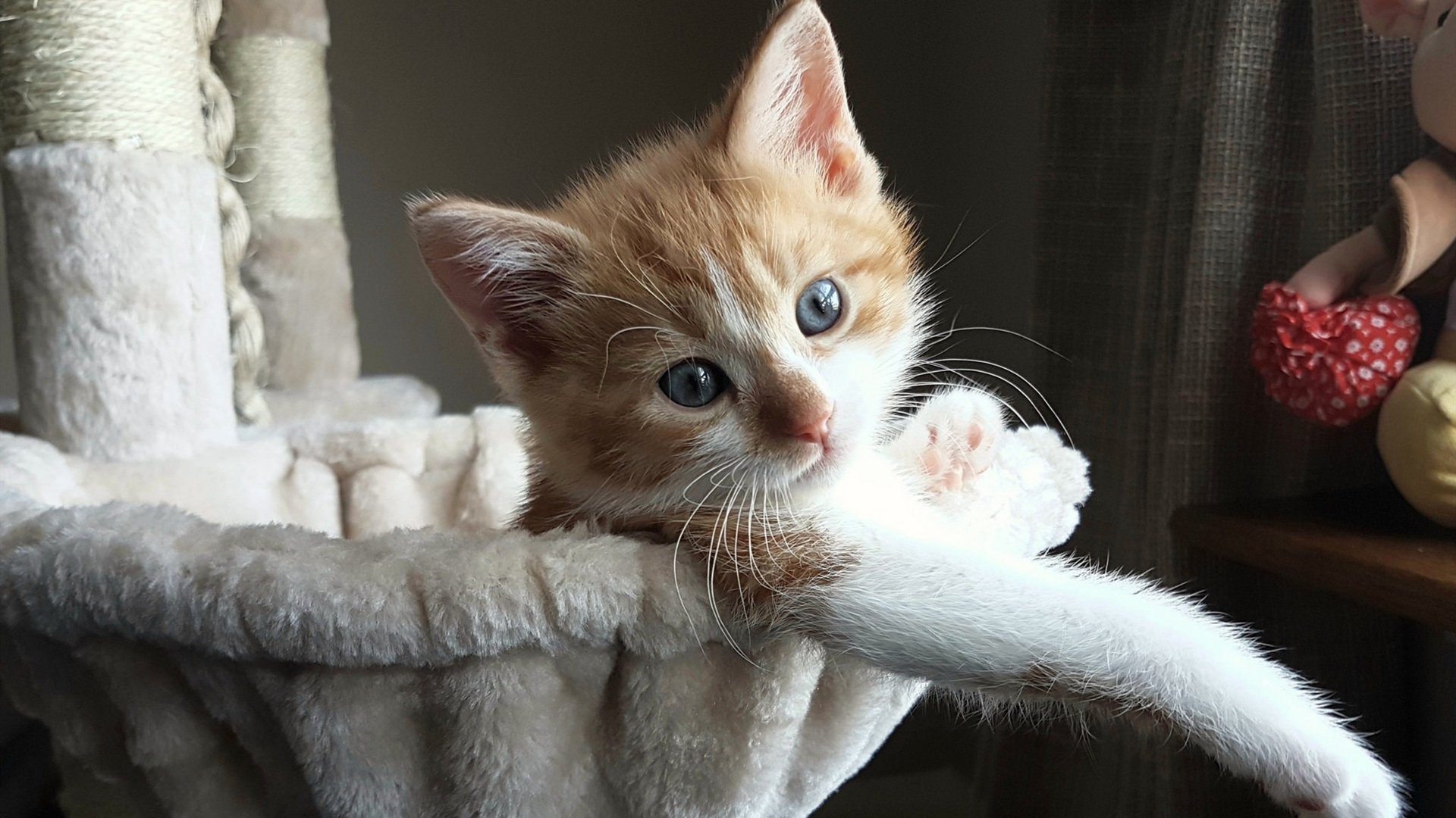 当冰川撞见雨林，莫德里奇在冰岛与尼日利亚的夹缝中奏响足球的绝对音准