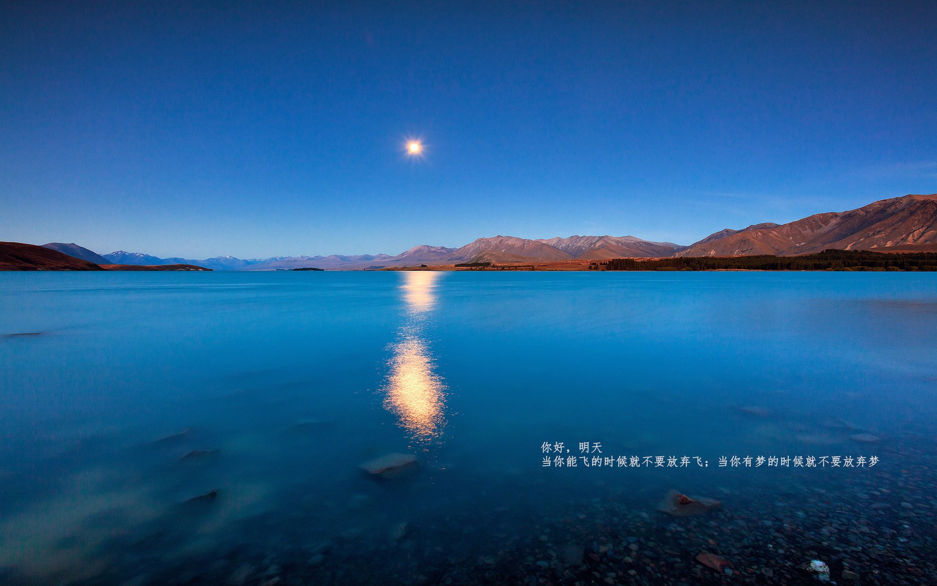 无光之墙,霍勒迪的沉默主宰