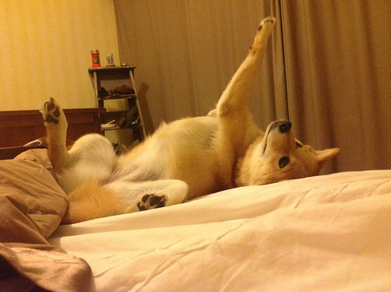 从智利到塞维利亚,当基米希成为两个足球世界的奇妙连接点