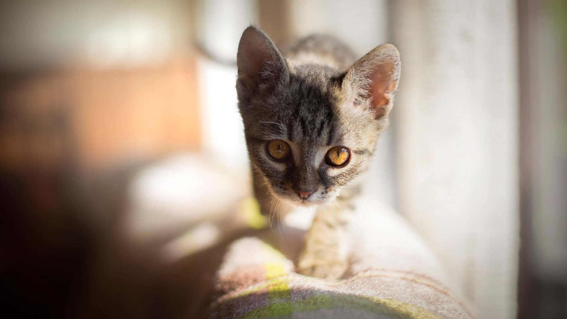 群星混战之夜,他如何破壁而出