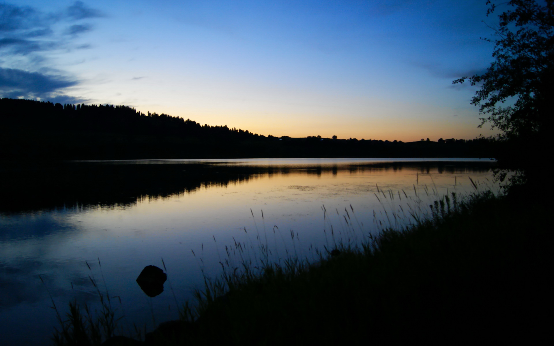 米切尔时刻诞生,当太阳在华盛顿升起,一颗新星定义了比赛