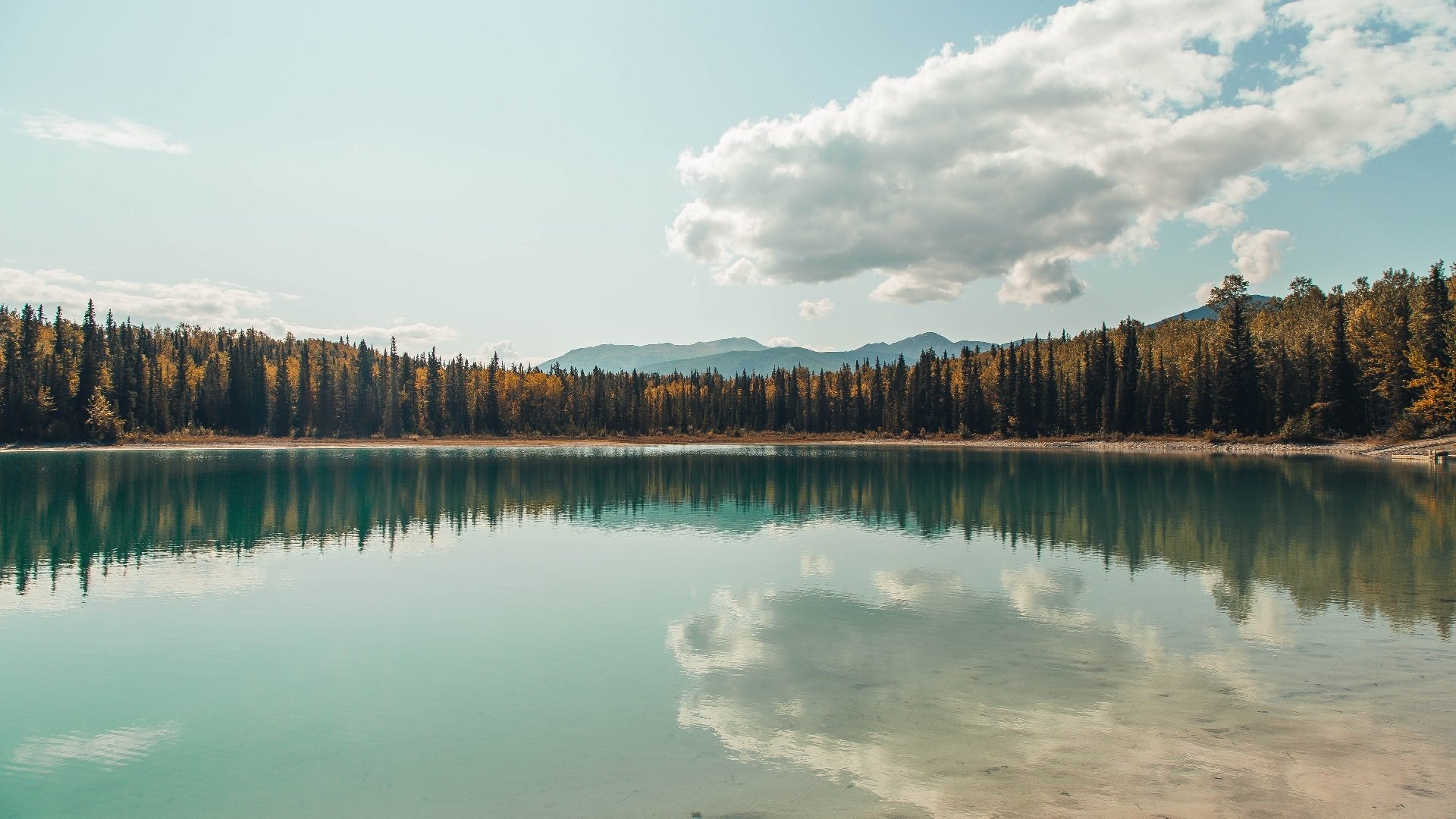 球星闪耀、整体统治,努涅斯与卡塔尔共同撰写的胜利之章