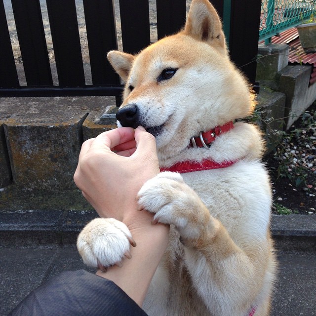 为你构思的标题