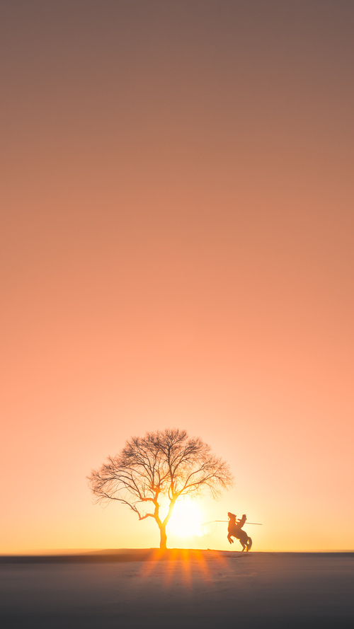 跨越时空的统治力，当上海队梦战太阳，约基奇为何无处不在