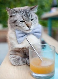 双腿之间的平行宇宙，当英超争冠之夜，恩比德在手术台上站起