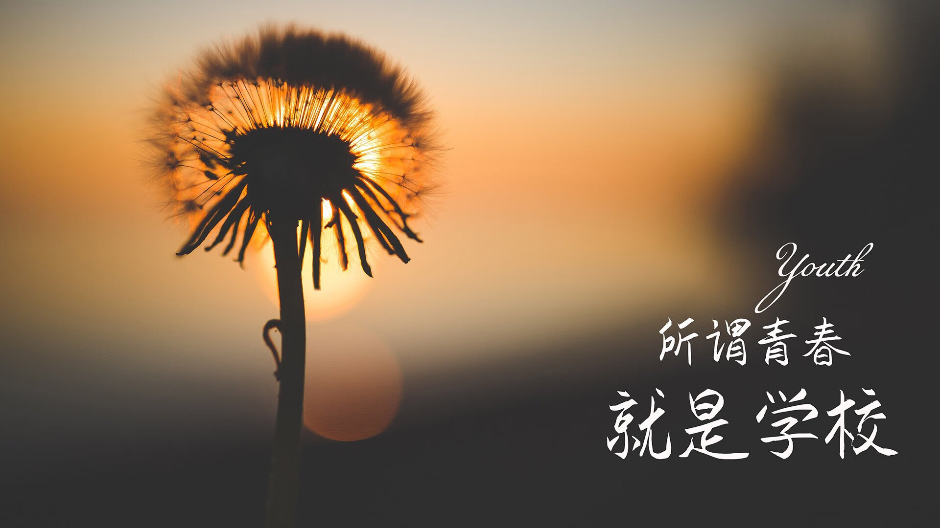 玻利维亚黑马席卷F1揭幕战，摩纳哥赛道传统格局遭颠覆