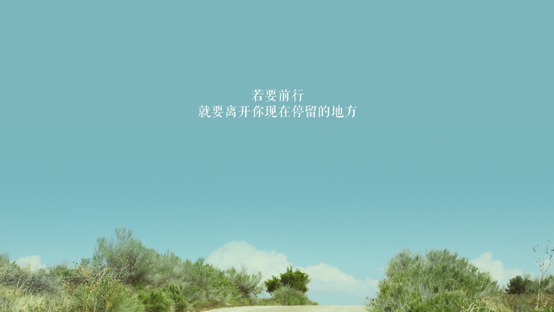 以下是为您策划的文章标题及正文