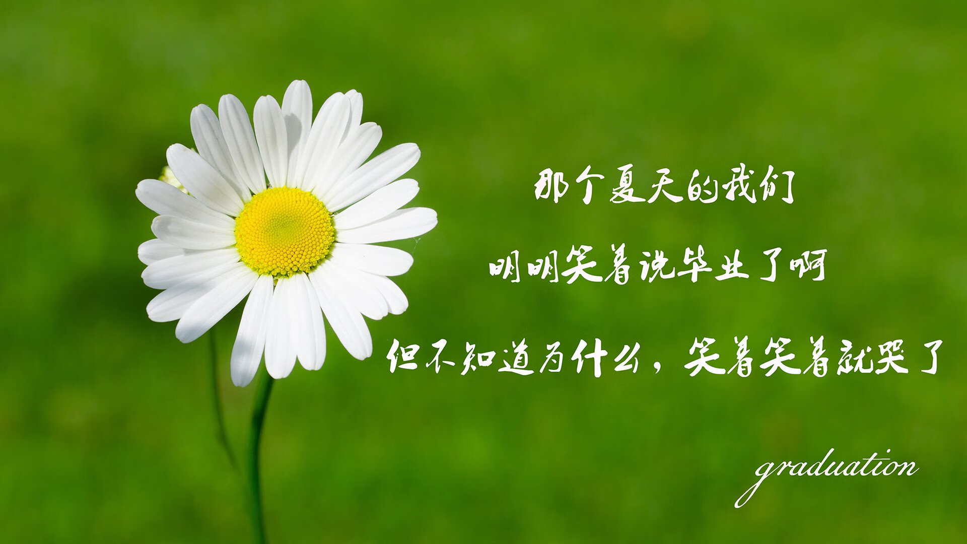 让我先为您构思一个紧扣关键词、富有张力且体现唯一性的文章标题