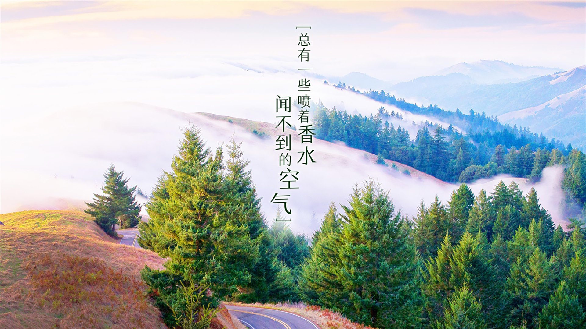 蓝色武士的狂啸与黑色雄狮的悲鸣，2026世界杯B组，卢卡库一个人的战争