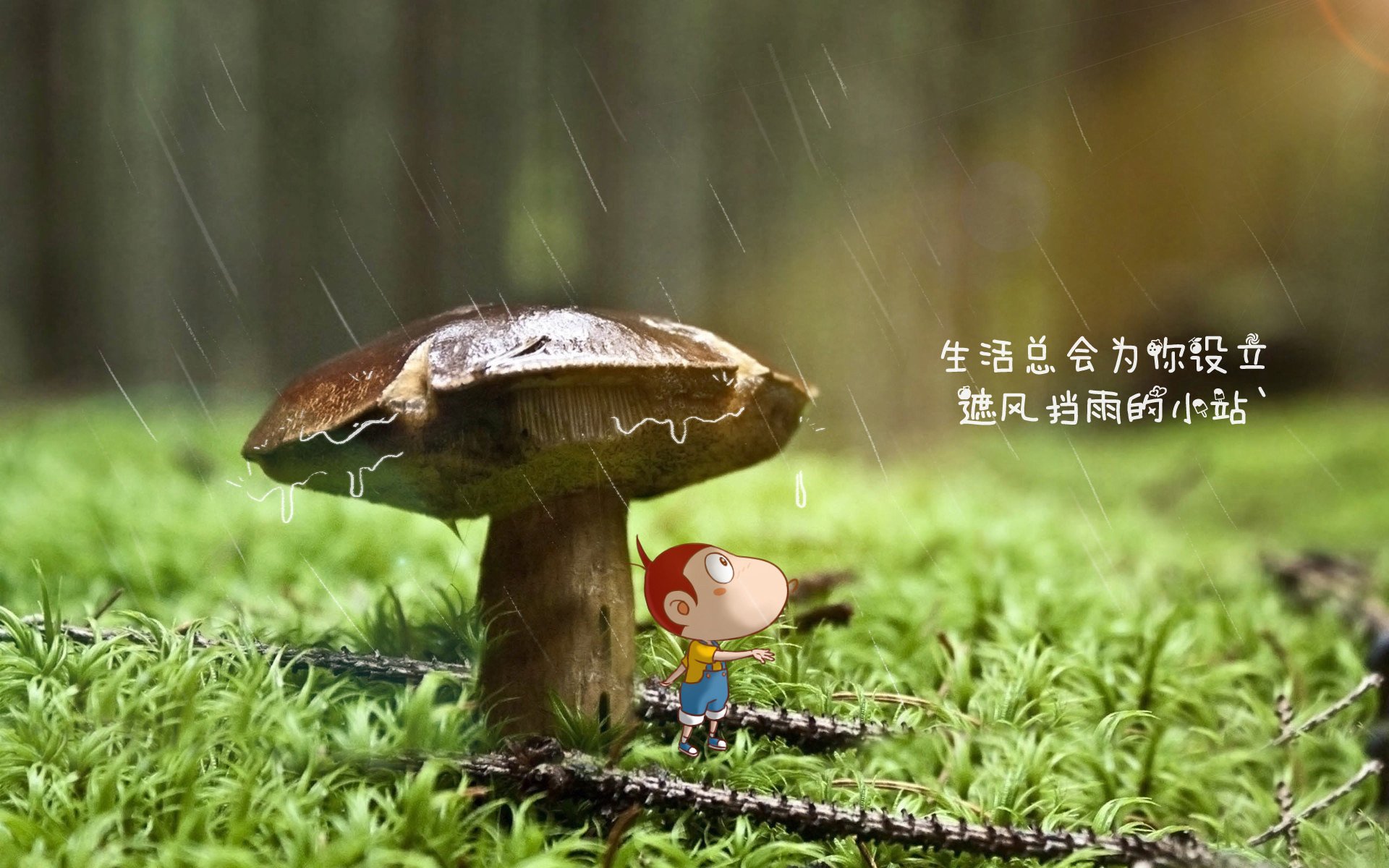 高原之殇与蓝衣陨落，2026，那场被红魔主导的复仇剧本
